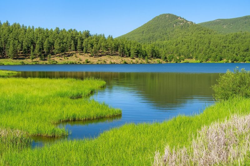 Best Siding Repair pros in Evergreen, CO