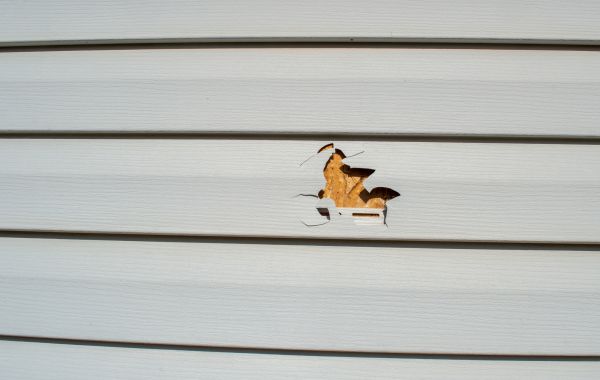 Cost of Siding Hole Repair in Breckenridge