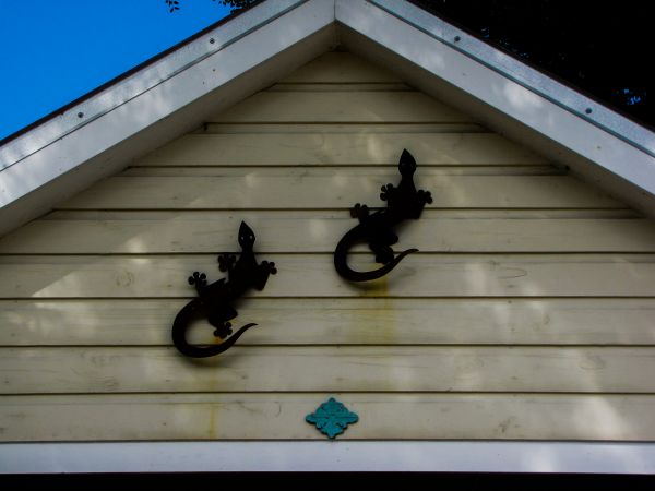 Cost of Shiplap Siding Installation in Breckenridge